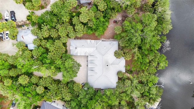 20732 Charing Cross Cir, Estero, FL 33928 - bird's eye view of a large body of water