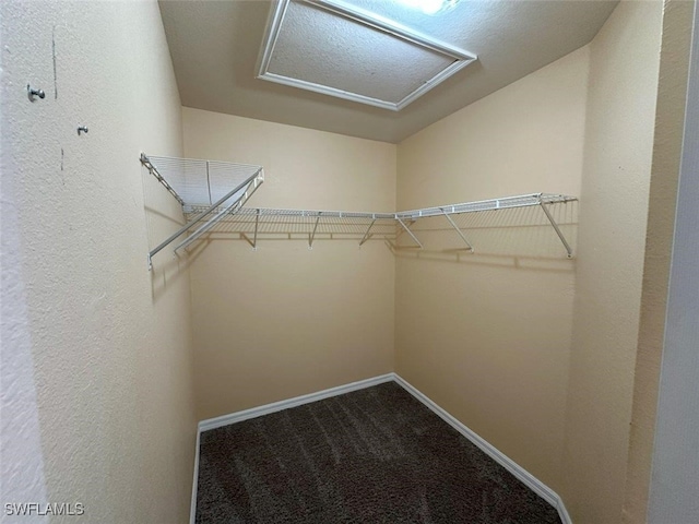 2648 NW 9th Ter, Cape Coral, FL 33993 - photo 17