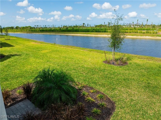 15445 Turin Dr, Naples, FL 34114 - water view