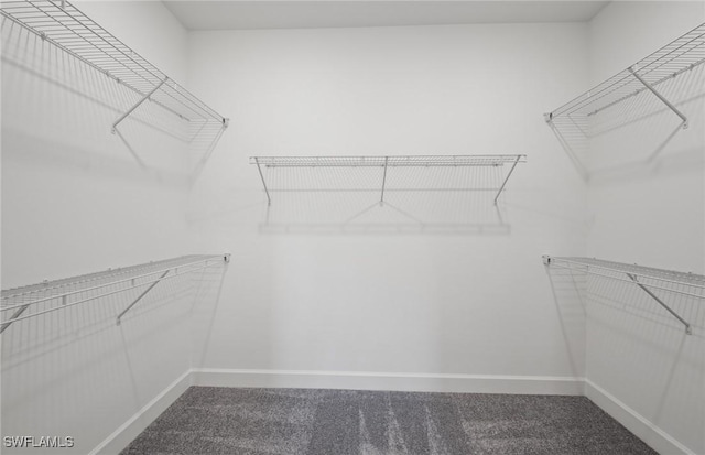 spacious closet with carpet