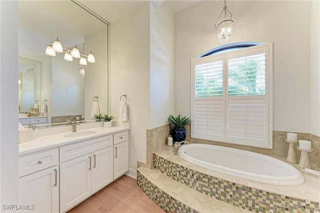 bathroom featuring a bath, vanity, and wood finished floors