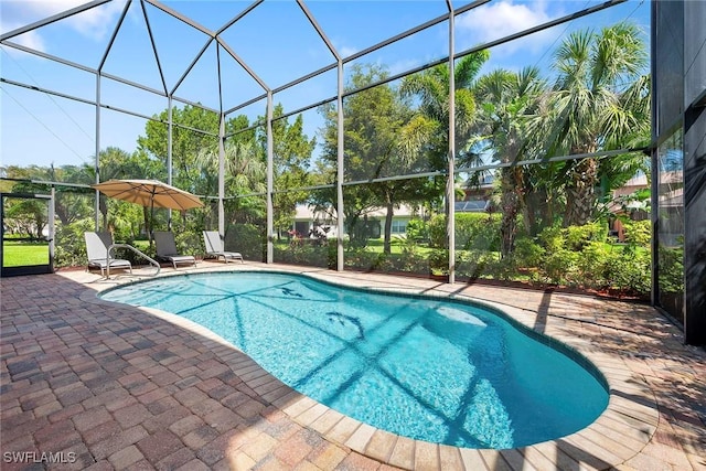 outdoor pool featuring a patio area and glass enclosure