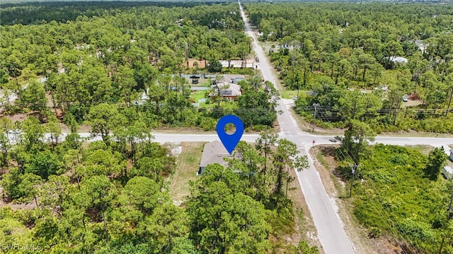 3906 E 10th St, Lehigh Acres, FL 33972 - view of property location with a forest