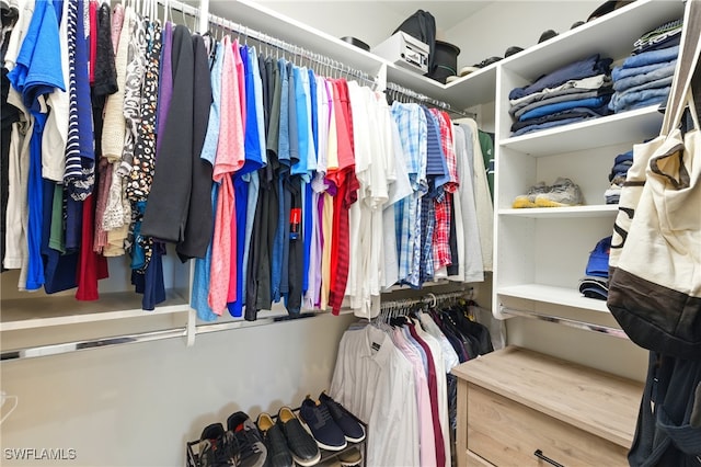 view of spacious closet