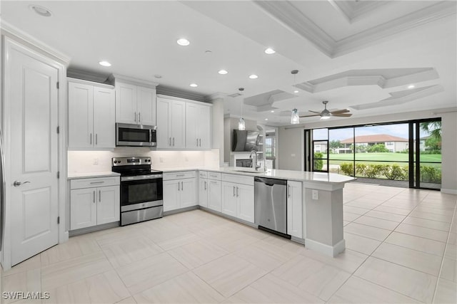 9654 Montelanico Loop Unit 102, Naples, FL 34119 - kitchen with appliances with stainless steel finishes, crown molding, a peninsula, open floor plan, and a sink