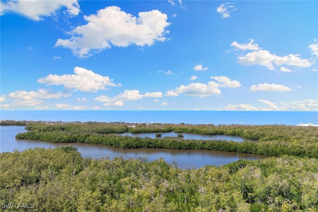property view of water with a forest view