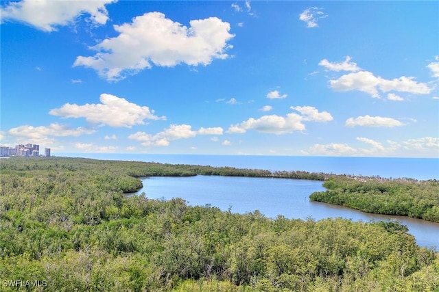water view featuring a view of trees