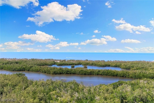 property view of water with a forest view