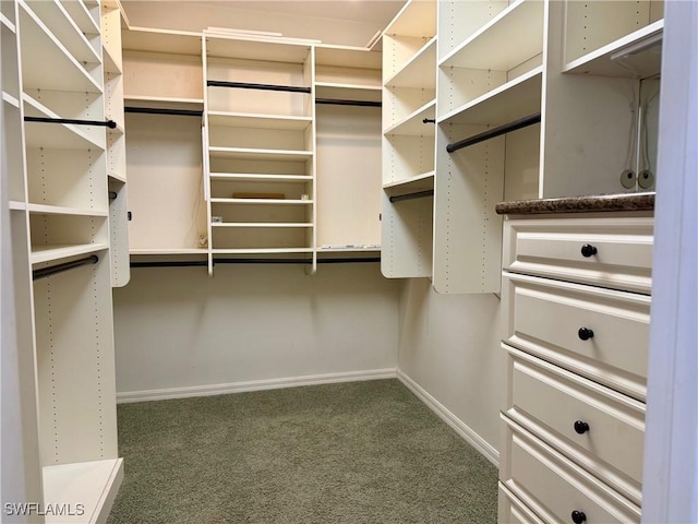 234 W Circle Dr, Clewiston, FL 33440 - walk in closet featuring carpet floors