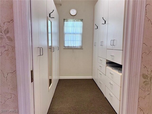 234 W Circle Dr, Clewiston, FL 33440 - spacious closet featuring dark carpet