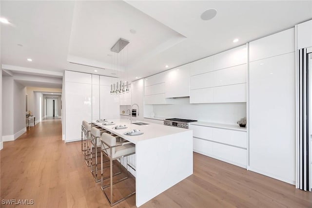 1165 8th St S Unit 202, Naples, FL 34102 - kitchen featuring light countertops, light wood-style flooring, modern cabinets, a raised ceiling, and white cabinetry