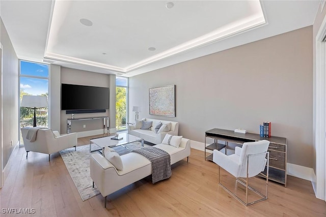 1165 8th St S Unit 202, Naples, FL 34102 - living area featuring baseboards, light wood-style floors, and a raised ceiling