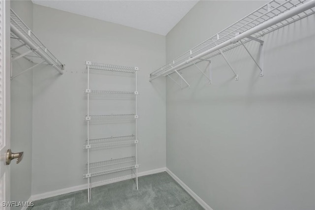 529 Mardel Dr Unit 311, Naples, FL 34104 - spacious closet with carpet flooring