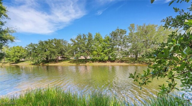 2520 Hawks Preserve Dr, Fort Myers, FL 33905 - photo 27