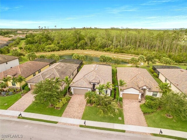 20240 Black Tree Ln, Estero, FL 33928 - drone / aerial view
