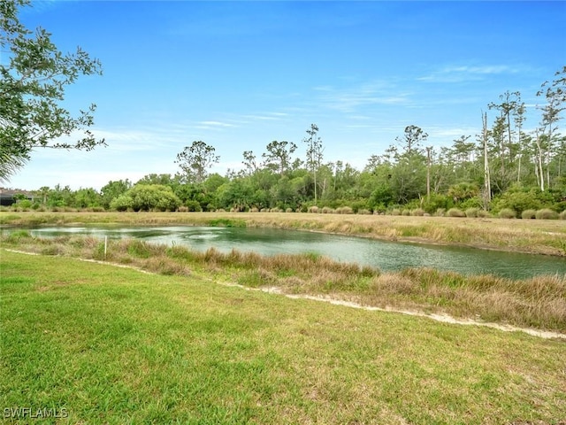 20240 Black Tree Ln, Estero, FL 33928 - view of yard with a water view