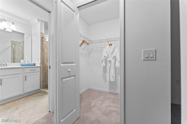 6058 National Blvd Unit 327, Ave Maria, FL 34142 - walk in closet with a sink and light carpet