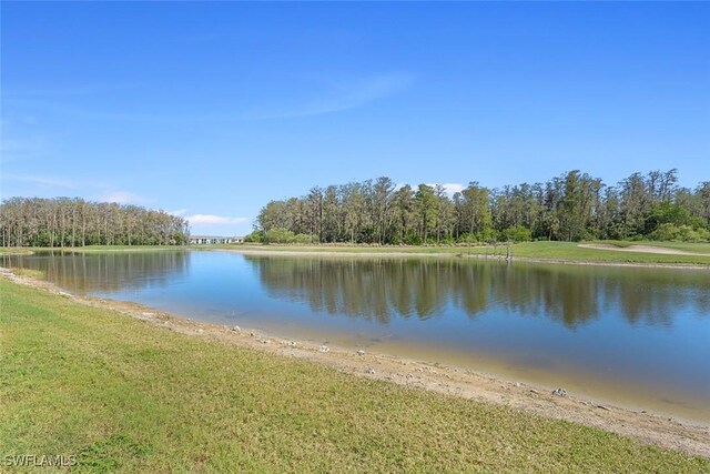 6058 National Blvd Unit 327, Ave Maria, FL 34142 - property view of water featuring a view of trees
