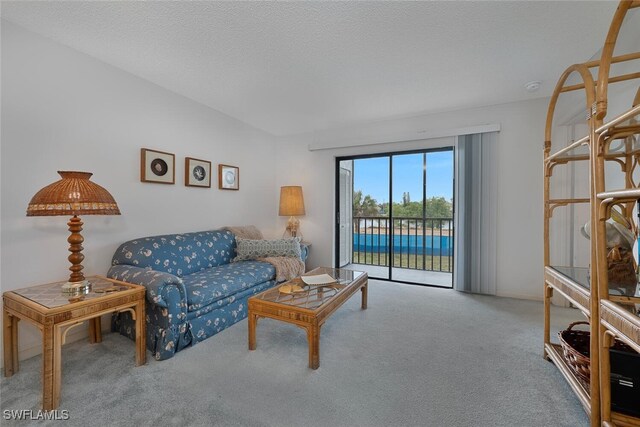 4146 27th Ct SW Unit 204, Naples, FL 34116 - view of carpeted living room