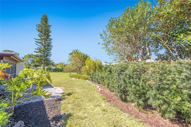 view of yard