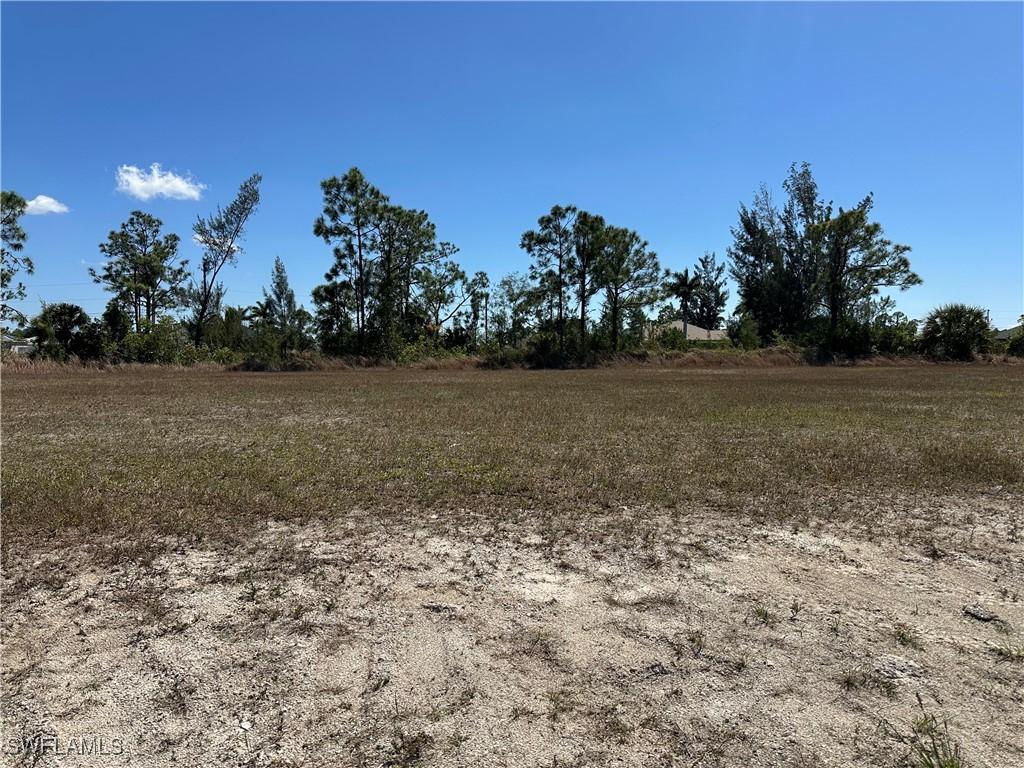 3433 NE 9th Ave, Cape Coral, FL 33909 - photo 1