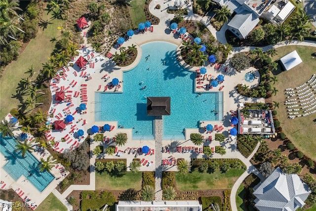 7282 Saona Ct, Naples, FL 34113 - drone / aerial view of a pool
