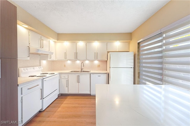 kitchen with light countertops, white appliances, under cabinet range hood, a sink, and light wood-style floors
