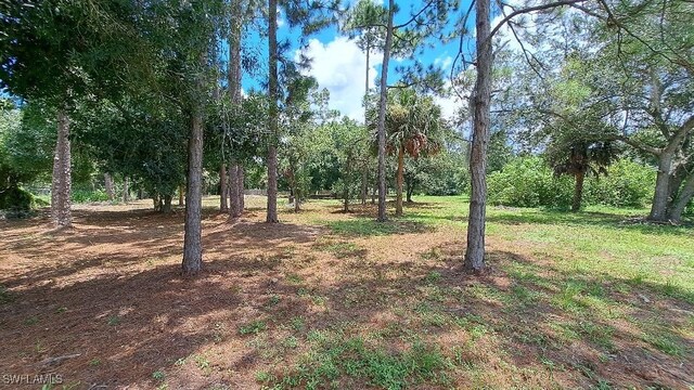 385 N Mayoral St, Clewiston, FL 33440