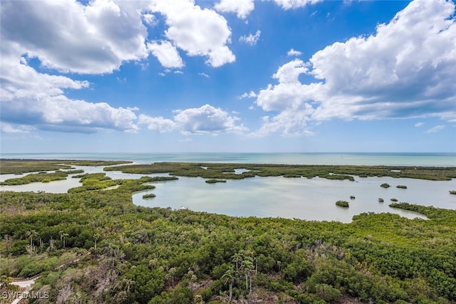 water view featuring a heavily wooded area