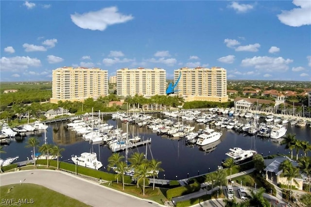 drone / aerial view featuring a water view and a city view