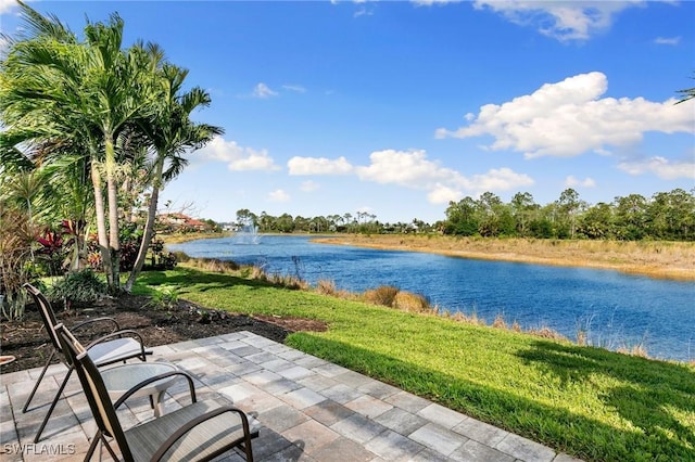 1621 Songbird Ct, Naples, FL 34120 - water view