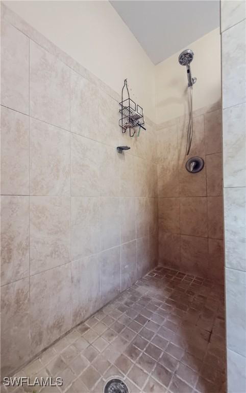 3911 9th St SW, Lehigh Acres, FL 33976 - full bath featuring tiled shower