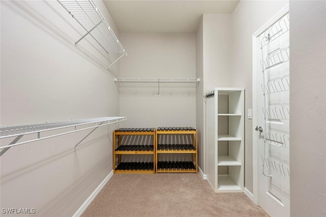 6068 Triumph Ln, Ave Maria, FL 34142 - spacious closet with carpet flooring