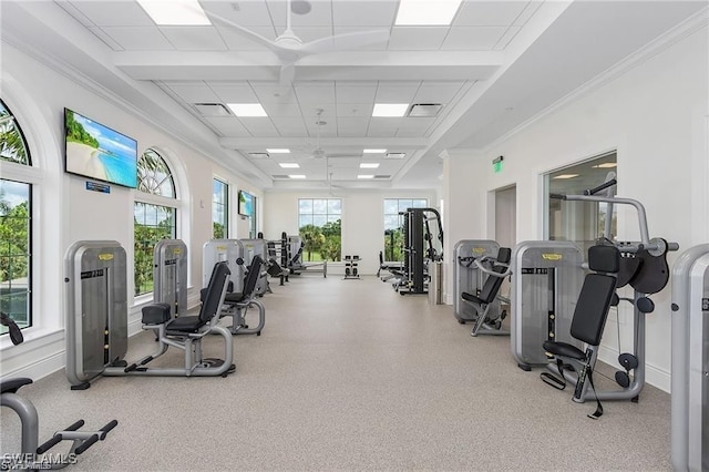 workout area featuring plenty of natural light and a drop ceiling