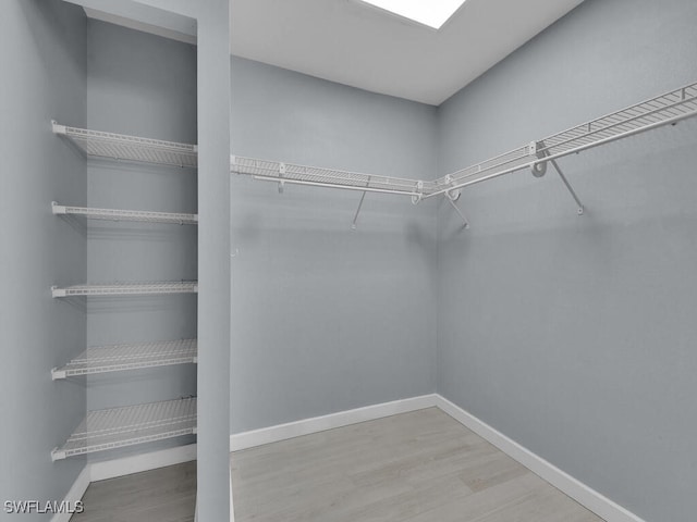 spacious closet featuring wood finished floors