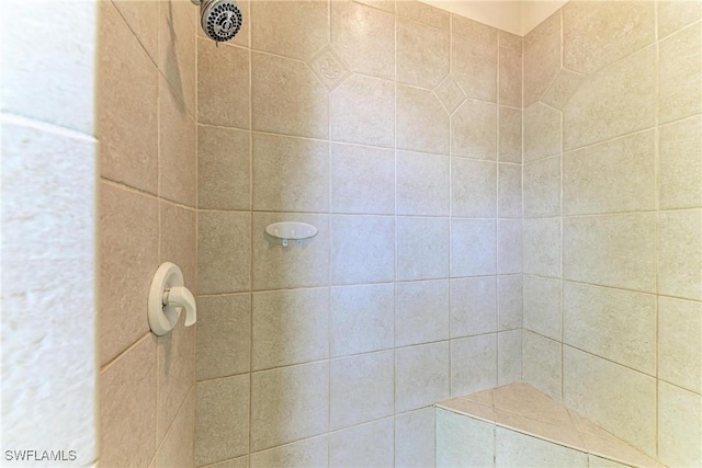 1368 Grebe Dr, Punta Gorda, FL 33950 - bathroom with tiled shower