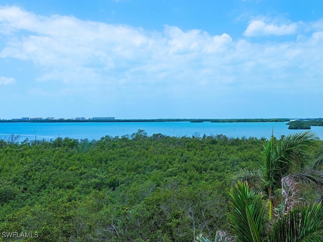 5051 Pelican Colony Blvd Unit 301, Bonita Springs, FL 34134 - property view of water