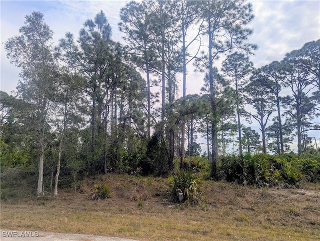 705 Bedford Dr, Lehigh Acres, FL 33974