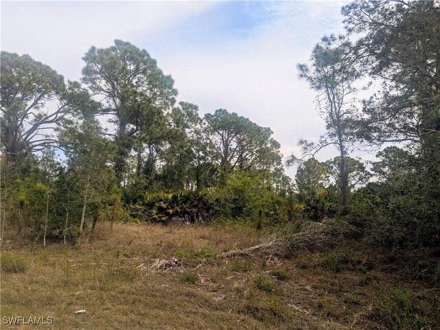 705 Bedford Dr, Lehigh Acres, FL 33974