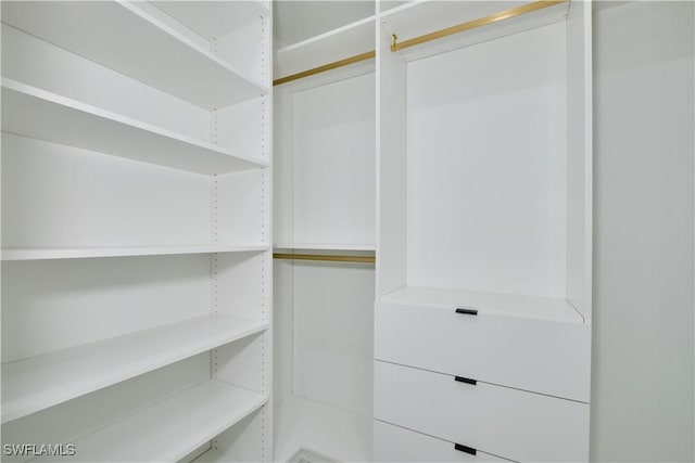view of walk in closet