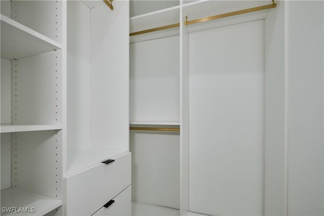 view of walk in closet