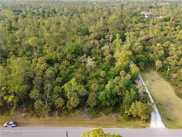 34TH Se Se Ave, Naples, FL 34117 - photo 4