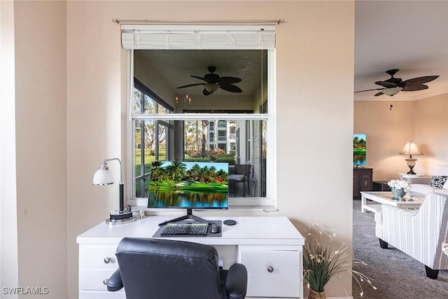 office space featuring carpet floors and ceiling fan