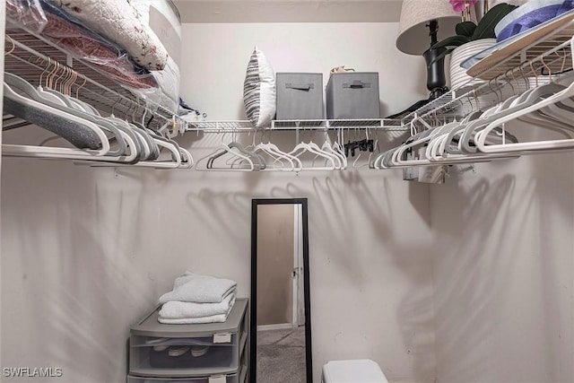 spacious closet with carpet floors
