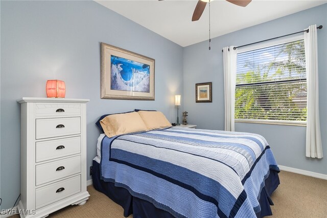 20309 Black Tree Ln, Estero, FL 33928 - photo 9