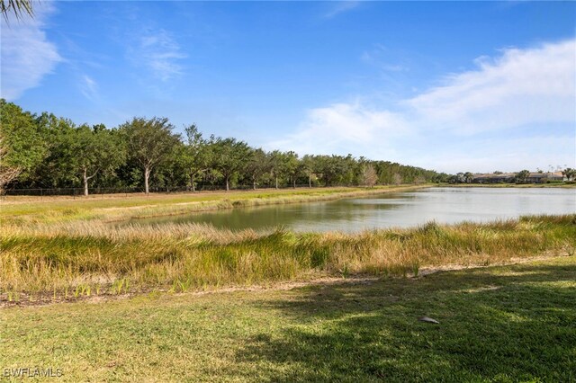20309 Black Tree Ln, Estero, FL 33928 - photo 36