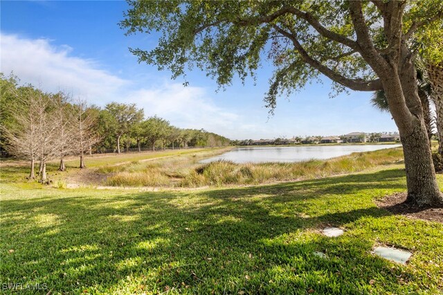 20309 Black Tree Ln, Estero, FL 33928 - photo 39