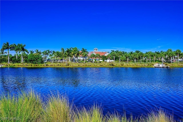 6561 Dominica Dr Unit 8-201, Naples, FL 34113 - property view of water