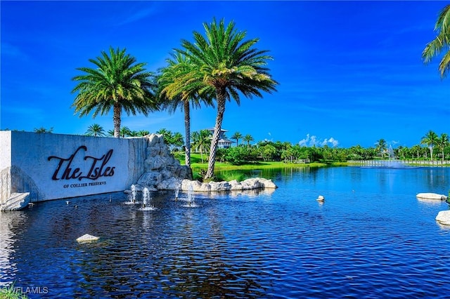 6561 Dominica Dr Unit 8-201, Naples, FL 34113 - water view