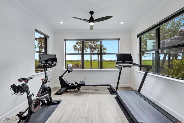 workout area with baseboards, ornamental molding, and a wealth of natural light